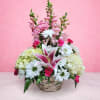 Basket arrangement with pink lilies, white daisies, and pale hydrangeas
