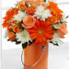 Perfect orange roses, orange gerbera daisies and orange spray roses pop against