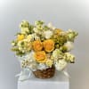 Bring warmth, happiness, and sunshine into any space with Sunshine, a bright