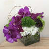 Purple orchids and white hydrangeas in a square glass vase