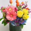 Colorful bouquet of gerbera daisies, roses, tulips, and hydrangeas in a dark vase
