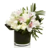 This bouquet radiates tropical vibes with its White Mixed arrangement featuring white