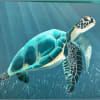 Painting of a sea turtle swimming in blue water