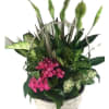 Basket arrangement of pink flowers and assorted green foliage