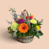 Mixed flower basket with an orange gerbera daisy and colorful blooms