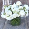 White ranunculus bouquet in a clear glass vase