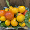 Arrangement of oranges and citrus fruit with green leaves