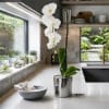 Single Luxury White Phalaenopsis orchid Arrangement designed for gifting with a Silver