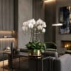 White orchids arranged in a gold pot on a table in a modern living room