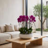 Potted purple orchids in a white bowl planter on a wooden table