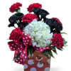 Red and black carnations with white hydrangea in a decorative box