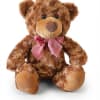 Brown teddy bear with a pink checkered bow