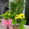 Send a little garden to somebody. A mix of flowering plants and