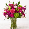 A vivid burst of pink and magenta greets the eye - a