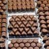 Assorted chocolates arranged in trays