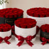 We will fill a Box Full of roses for you at a