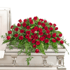 Red rose casket spray with trailing greenery on a white coffin