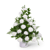 White carnations arranged in a white vase with green foliage