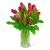 Red tulips arranged in a clear glass vase