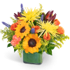 Sunflowers and orange roses in a square glass vase