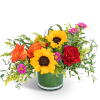 Sunflowers, roses, and purple daisies in a glass vase