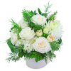 White roses and chrysanthemums in a white vase with green foliage
