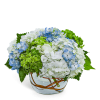 Blue, white, and green hydrangeas in a glass vase