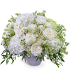 Repose Among Roses is an elegant all-white arrangement featuring premium Roses, Hydrangea
