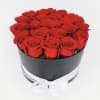 Red roses arranged in a black round box with a white ribbon