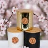 This artisan soy blend candle is hand-poured in small batches, offering a