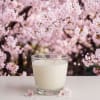 Create a warm, inviting atmosphere with our 16 oz artisan soy blend