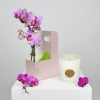 A refined expression of elegance, this beautiful bundle features a graceful pink