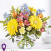 Seasonal flowers in a Bubble Bowl, Yellow Gerbera daisy, solidago, Pink Alstoemeria