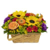 Life&rsquo;s a picnic, filled with colorful possibilities. That thought is underscored to