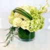 Beautiful floral arrangement in a 6&Prime; round glass vase.

D-Or,

Enjoy the Beauty of