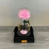 A single soft-pink rose preserved beneath a clear glass dome creates an
