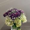 Purple and green hydrangea bouquet in a clear square vase