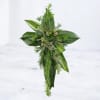 Cross-shaped arrangement of layered green leaves and textured foliage