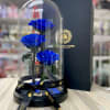 Three blue roses under a clear glass dome on a black base with ribbon and gift box.