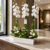 Orchids Plant Rectangular Vase