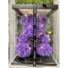 Purple artificial rose teddy bear with string lights in a clear gift box