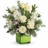 A stylish pop of winter style, this snow-white bouquet in a fresh