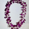 Purple orchid lei on a white background