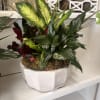 Mixed potted tropical foliage arrangement in a white planter