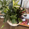 Mixed tropical foliage arrangement in a white basket
