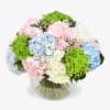 An amazing mix of pink, white, green and blue coloured hydrangeas. This