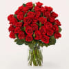 Red roses are timeless, classic and iconic. Whether it's a romantic gesture