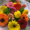 Colorful Gerbera daisies presented in loose wrap with greenery and filler flowers.