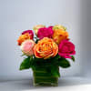 Type of Flowers: Dozen short stemmed mix of vibrant roses in a