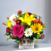 Type of Flowers: Asiatic Lilies, Roses, Sunflowers, Spray Roses, Daisies, Carnations, Cushion